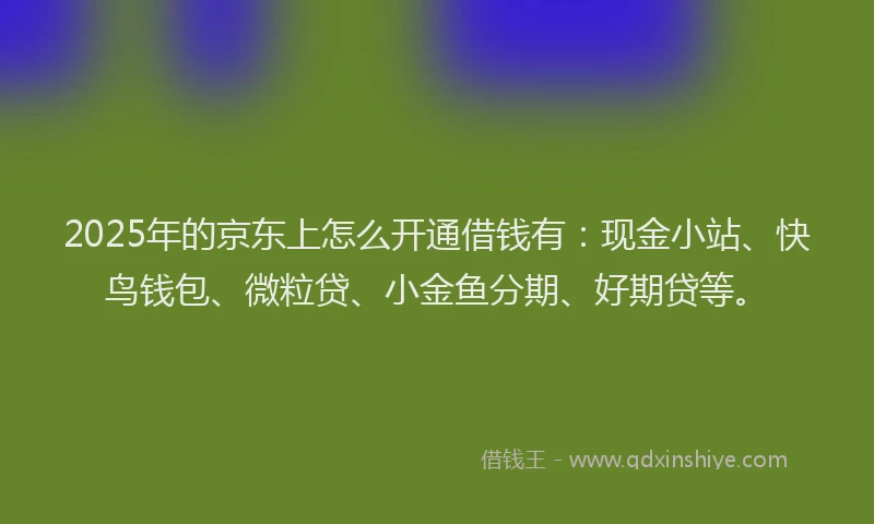 2025年的京东上怎么开通借钱有：现金小站、快鸟钱包、微粒贷、小金鱼分期、好期贷等。