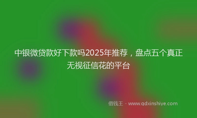 中银微贷款好下款吗2025年推荐，盘点五个真正无视征信花的平台