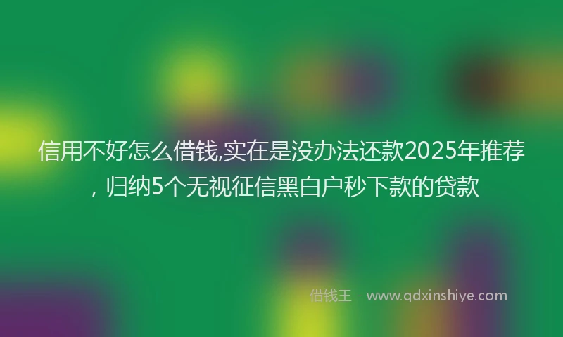 信用不好怎么借钱,实在是没办法还款2025年推荐，归纳5个无视征信黑白户秒下款的贷款