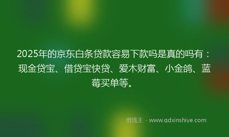 2025年的京东白条贷款容易下款吗是真的吗有：现金贷宝、借贷宝快贷、爱木财富、小金鸽、蓝莓买单等。