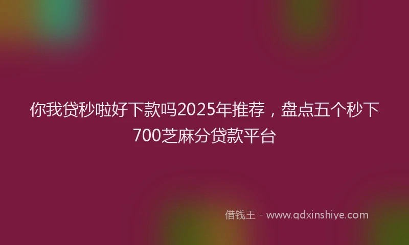 你我贷秒啦好下款吗2025年推荐,盘点五个秒下700芝麻分贷款平台