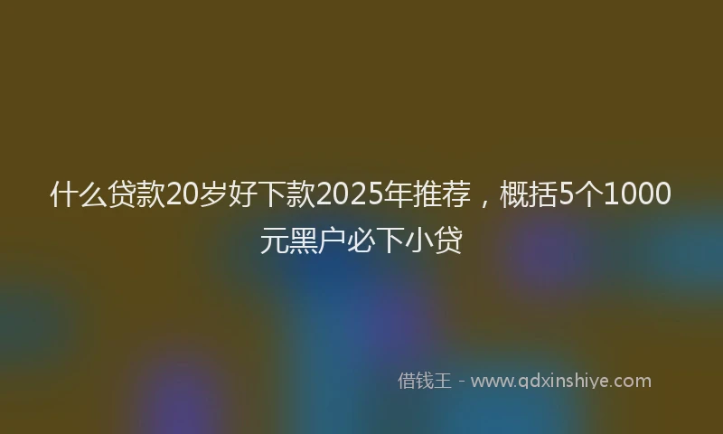 什么贷款20岁好下款2025年推荐，概括5个1000元黑户必下小贷