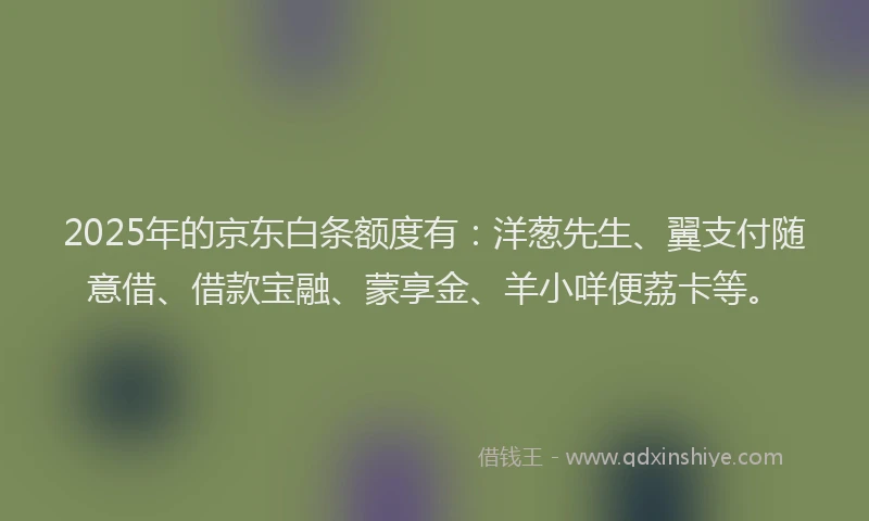 2025年的京东白条额度有：洋葱先生、翼支付随意借、借款宝融、蒙享金、羊小咩便荔卡等。