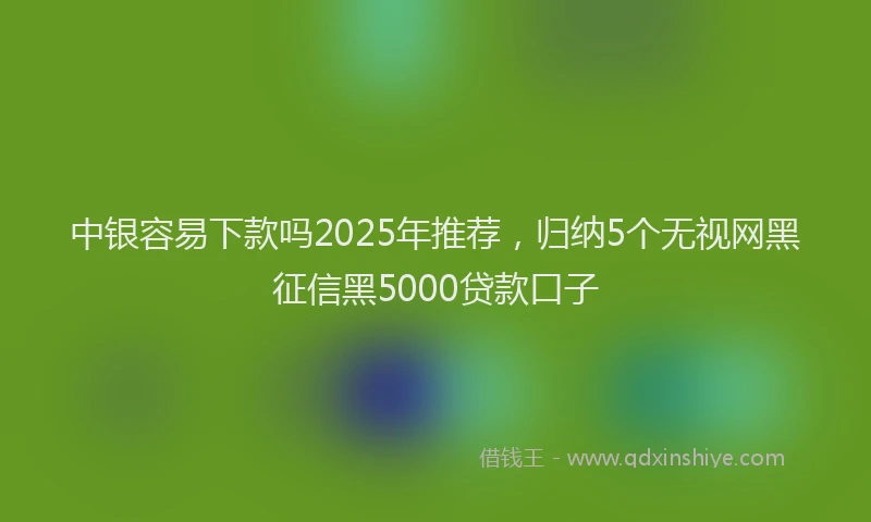 中银容易下款吗2025年推荐，归纳5个无视网黑征信黑5000贷款口子