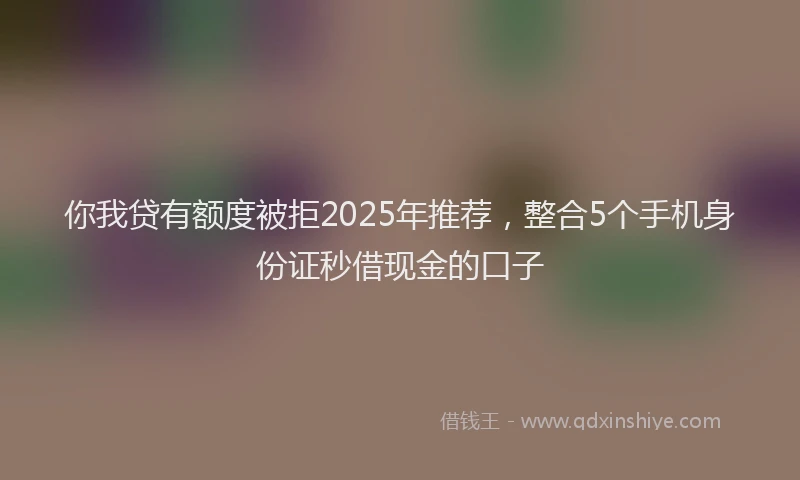 你我贷有额度被拒2025年推荐,整合5个手机身份证秒借现金的口子