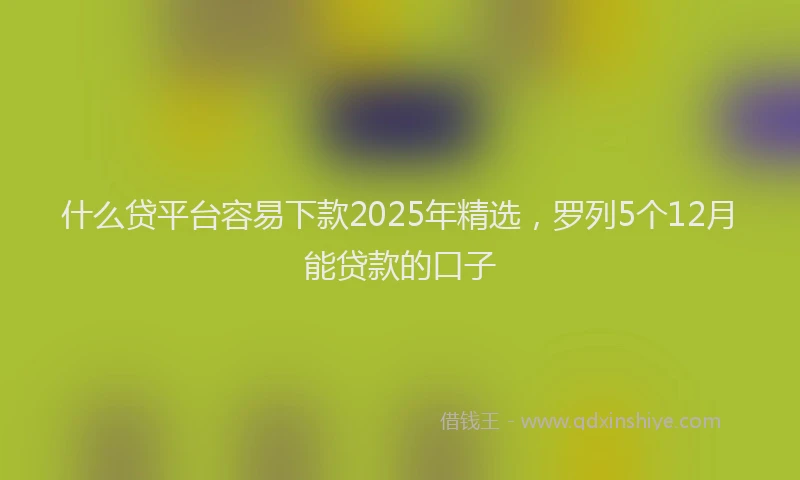 什么贷平台容易下款2025年精选，罗列5个12月能贷款的口子