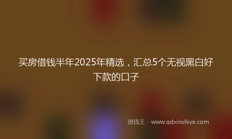 买房借钱半年2025年精选，汇总5个无视黑白好下款的口子
