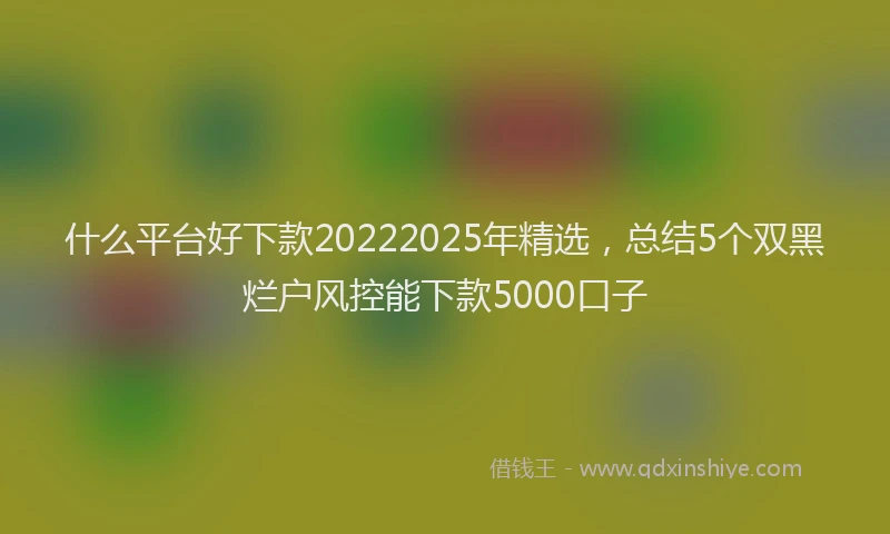 什么平台好下款20222025年精选，总结5个双黑烂户风控能下款5000口子