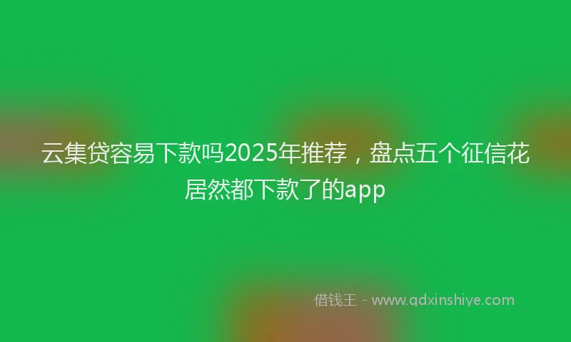 云集贷容易下款吗2025年推荐，盘点五个征信花居然都下款了的app