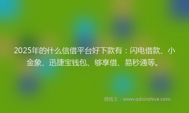 2025年的什么信借平台好下款有：闪电借款、小金象、迅捷宝钱包、够享借、易秒通等。