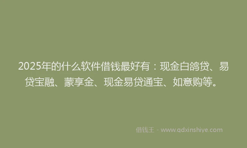 2025年的什么软件借钱最好有：现金白鸽贷、易贷宝融、蒙享金、现金易贷通宝、如意购等。