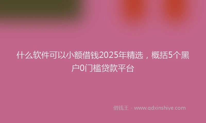 什么软件可以小额借钱2025年精选，概括5个黑户0门槛贷款平台