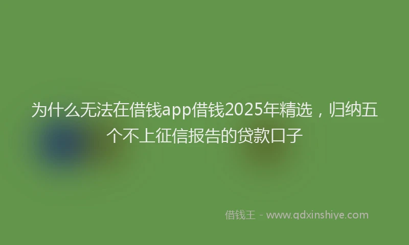 为什么无法在借钱app借钱2025年精选,归纳五个不上征信报告的贷款口子