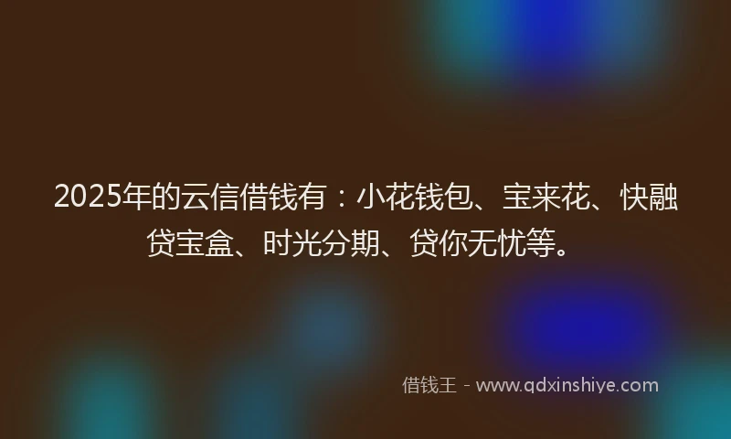 2025年的云信借钱有：小花钱包、宝来花、快融贷宝盒、时光分期、贷你无忧等。