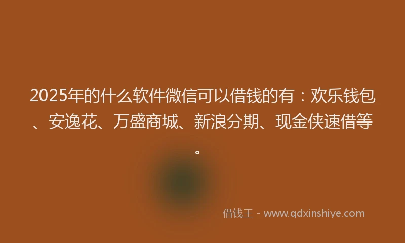 2025年的什么软件微信可以借钱的有：欢乐钱包、安逸花、万盛商城、新浪分期、现金侠速借等。