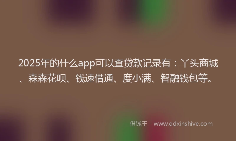 2025年的什么app可以查贷款记录有:丫头商城、森森花呗、钱速借通、度小满、智融钱包等。