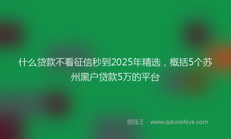 什么贷款不看征信秒到2025年精选，概括5个苏州黑户贷款5万的平台