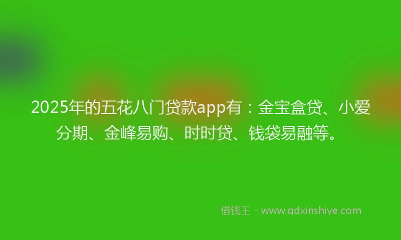2025年的五花八门贷款app有：金宝盒贷、小爱分期、金峰易购、时时贷、钱袋易融等。