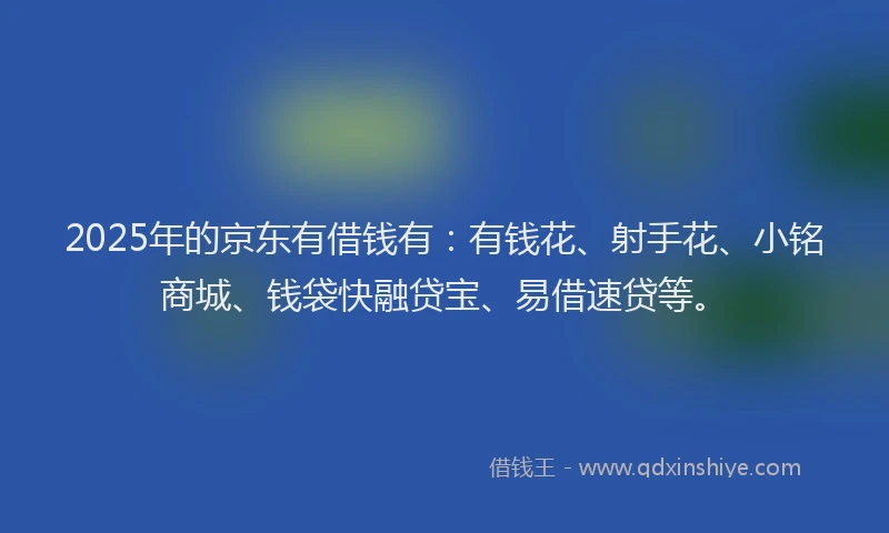 2025年的京东有借钱有：有钱花、射手花、小铭商城、钱袋快融贷宝、易借速贷等。