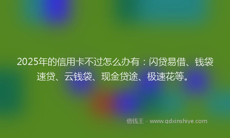 2025年的信用卡不过怎么办有：闪贷易借、钱袋速贷、云钱袋、现金贷途、极速花等。