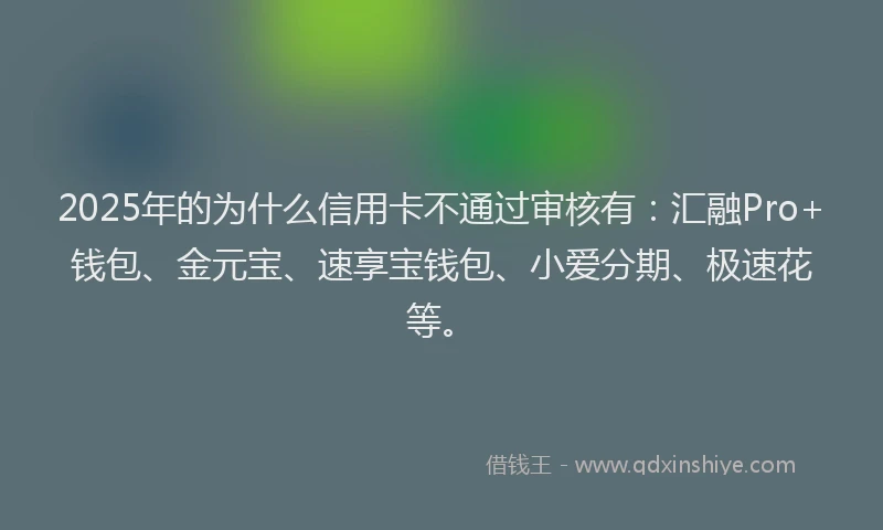 2025年的为什么信用卡不通过审核有：汇融Pro+钱包、金元宝、速享宝钱包、小爱分期、极速花等。