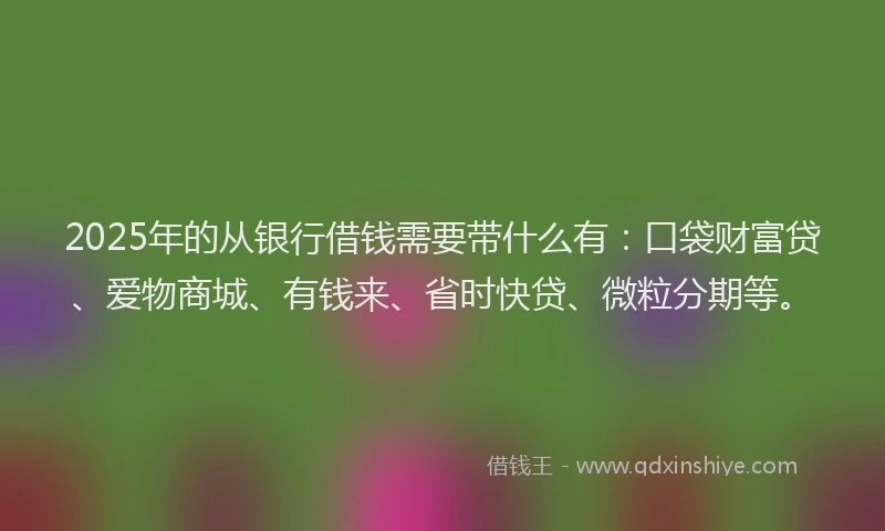 2025年的从银行借钱需要带什么有：口袋财富贷、爱物商城、有钱来、省时快贷、微粒分期等。