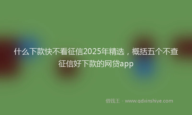 什么下款快不看征信2025年精选，概括五个不查征信好下款的网贷app