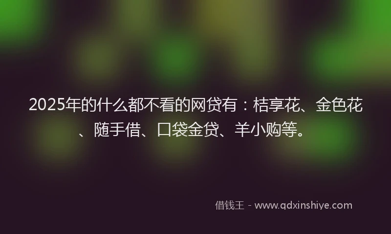 2025年的什么都不看的网贷有：桔享花、金色花、随手借、口袋金贷、羊小购等。