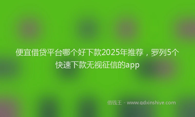 便宜借贷平台哪个好下款2025年推荐，罗列5个快速下款无视征信的app