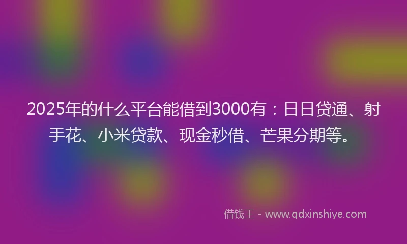2025年的什么平台能借到3000有：日日贷通、射手花、小米贷款、现金秒借、芒果分期等。