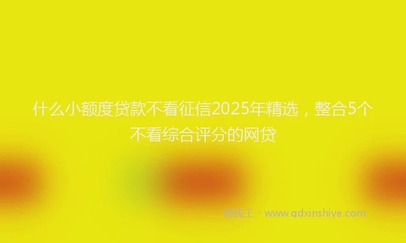 什么小额度贷款不看征信2025年精选，整合5个不看综合评分的网贷