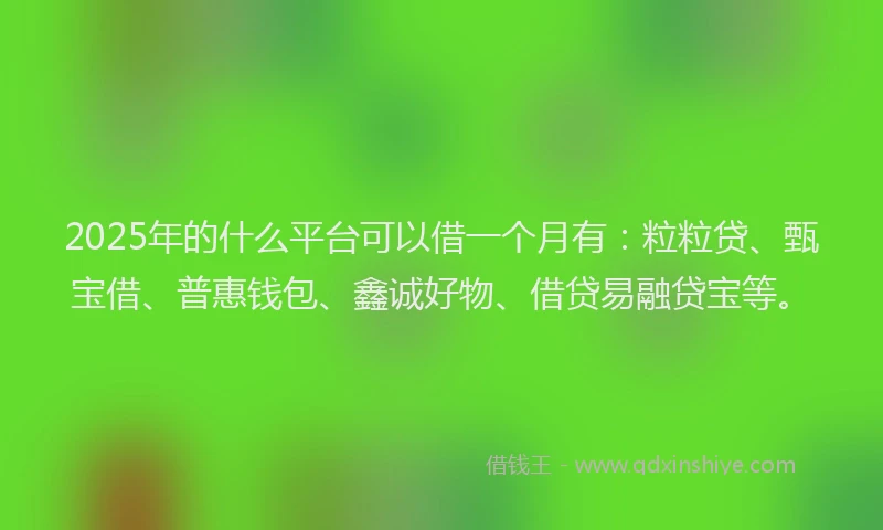 2025年的什么平台可以借一个月有：粒粒贷、甄宝借、普惠钱包、鑫诚好物、借贷易融贷宝等。
