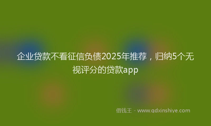 企业贷款不看征信负债2025年推荐，归纳5个无视评分的贷款app