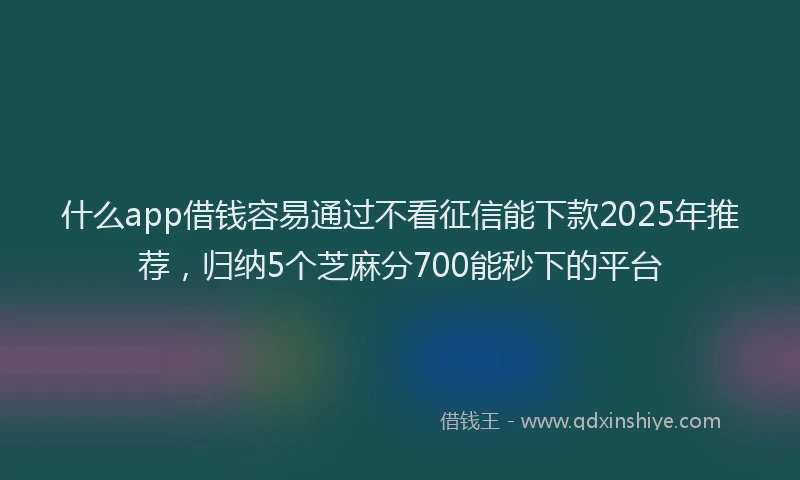 什么app借钱容易通过不看征信能下款2025年推荐，归纳5个芝麻分700能秒下的平台