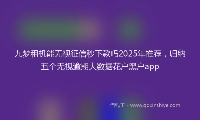 九梦租机能无视征信秒下款吗2025年推荐，归纳五个无视逾期大数据花户黑户app