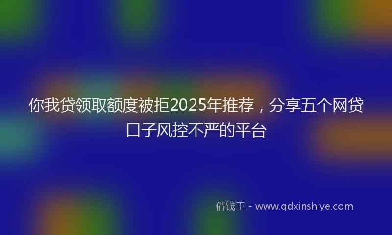 你我贷领取额度被拒2025年推荐，分享五个网贷口子风控不严的平台