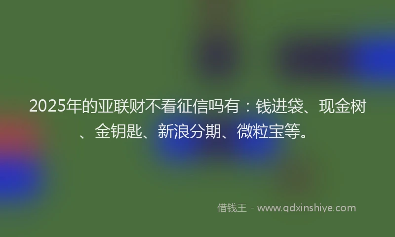 2025年的亚联财不看征信吗有：钱进袋、现金树、金钥匙、新浪分期、微粒宝等。