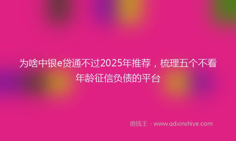 为啥中银e贷通不过2025年推荐，梳理五个不看年龄征信负债的平台