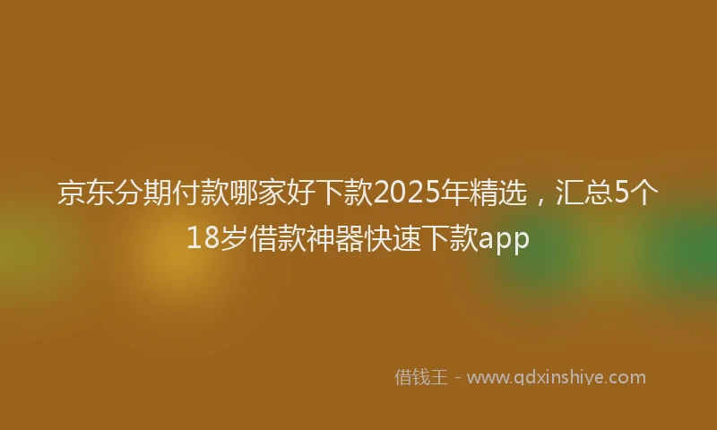 京东分期付款哪家好下款2025年精选，汇总5个18岁借款神器快速下款app