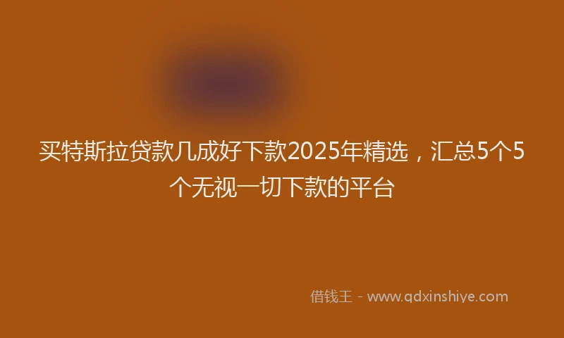 买特斯拉贷款几成好下款2025年精选，汇总5个5个无视一切下款的平台