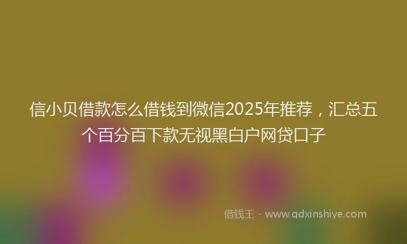信小贝借款怎么借钱到微信2025年推荐，汇总五个百分百下款无视黑白户网贷口子