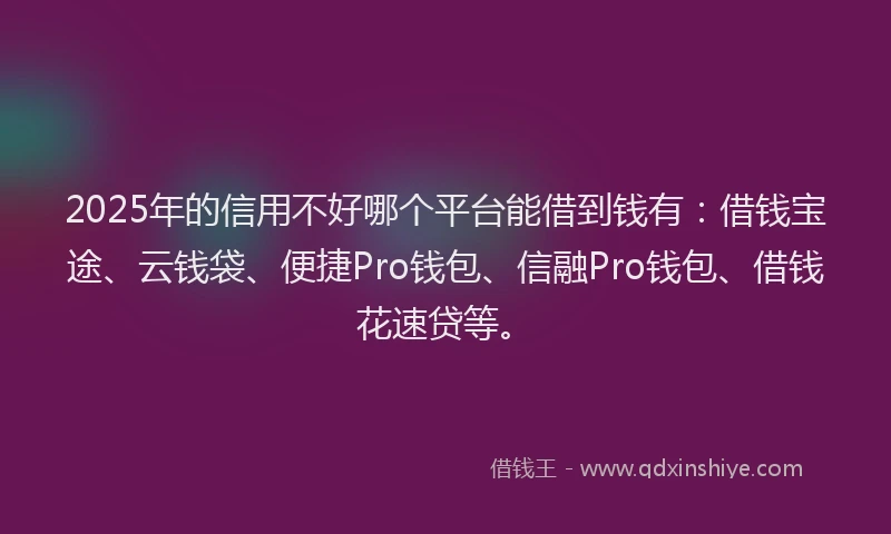 2025年的信用不好哪个平台能借到钱有：借钱宝途、云钱袋、便捷Pro钱包、信融Pro钱包、借钱花速贷等。