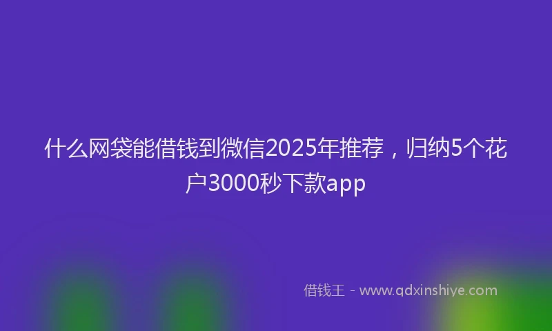 什么网袋能借钱到微信2025年推荐，归纳5个花户3000秒下款app