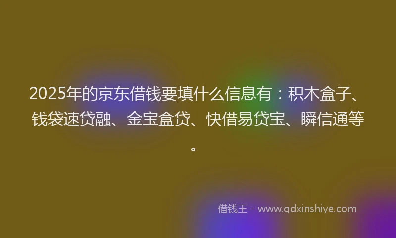 2025年的京东借钱要填什么信息有：积木盒子、钱袋速贷融、金宝盒贷、快借易贷宝、瞬信通等。