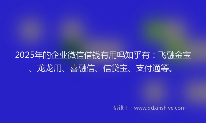 2025年的企业微信借钱有用吗知乎有：飞融金宝、龙龙用、喜融信、信贷宝、支付通等。