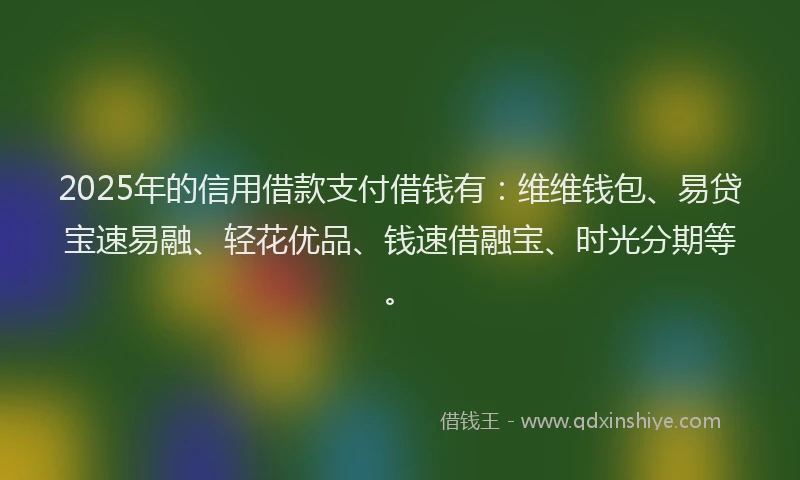 2025年的信用借款支付借钱有：维维钱包、易贷宝速易融、轻花优品、钱速借融宝、时光分期等。