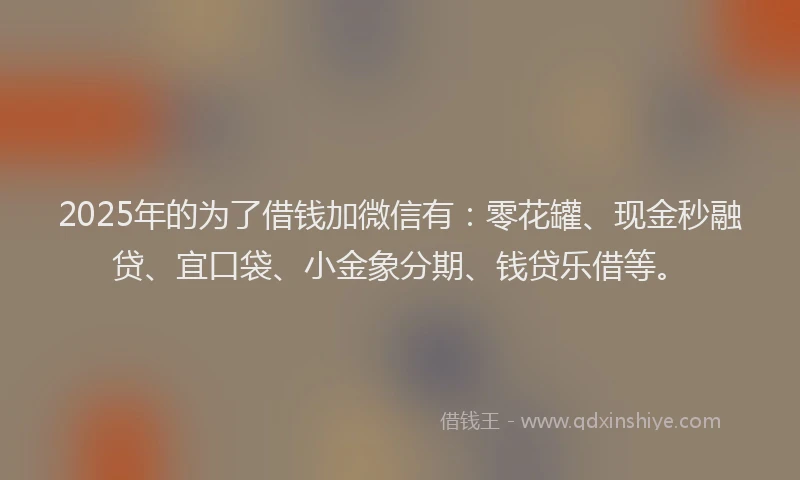 2025年的为了借钱加微信有：零花罐、现金秒融贷、宜口袋、小金象分期、钱贷乐借等。