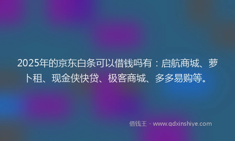 2025年的京东白条可以借钱吗有：启航商城、萝卜租、现金侠快贷、极客商城、多多易购等。
