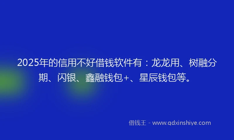 2025年的信用不好借钱软件有：龙龙用、树融分期、闪银、鑫融钱包+、星辰钱包等。