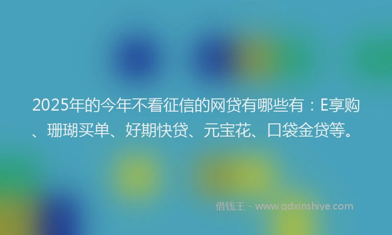 2025年的今年不看征信的网贷有哪些有：E享购、珊瑚买单、好期快贷、元宝花、口袋金贷等。